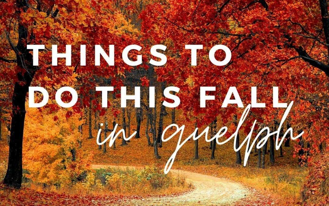 Things To Do in Guelph Area This Fall