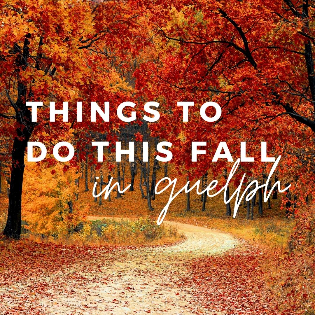 Things To Do in Guelph Area This Fall - The Dodd Team